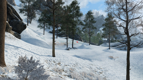 2. snow.jpg