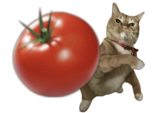 IMG 4411.gif