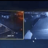 merged (4) (1).gif