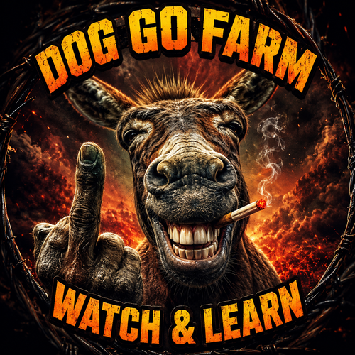 d361b4e202c8.png