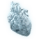 7691120ad4f5.png