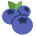 b8535ef2cd4b77a5.png