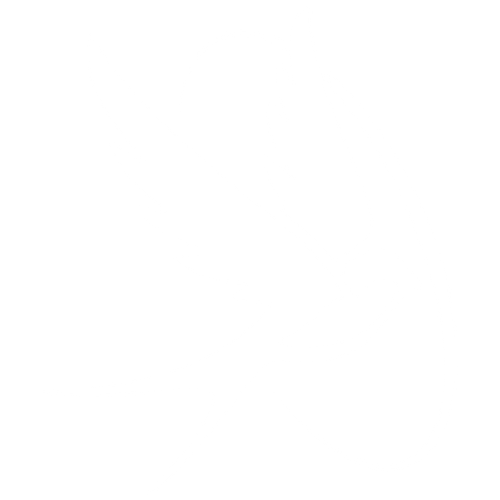 BIRD.png
