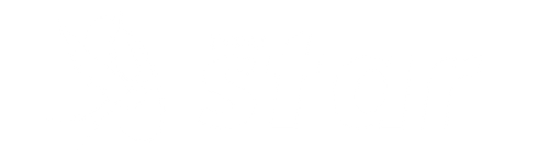 LIGHT.png