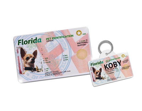florida id showcase1 cropped.jpg