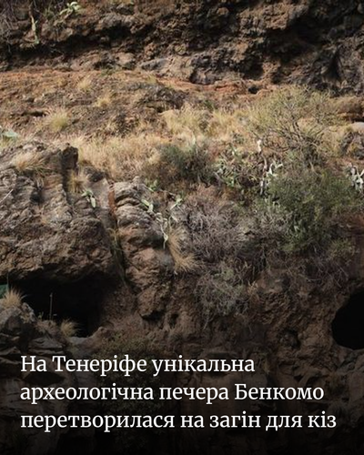 8656135b9278.png
