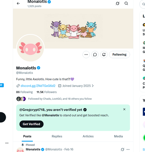 Screenshot mon.png