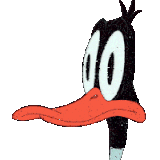 IMG 1520.gif