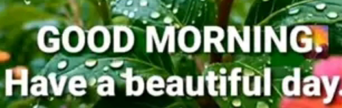 temp.png