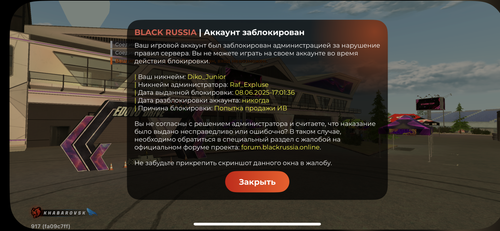 IMG 1927.png