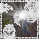 b948e755b5dc.png