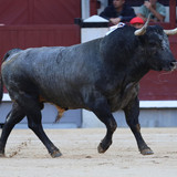 215A0871