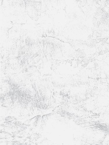 1000004791.png