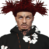 137711d5cc23.png