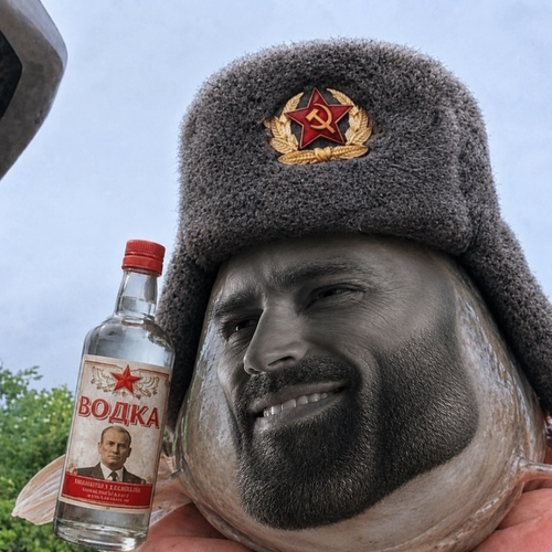 image 2026 05 13 235825271.png