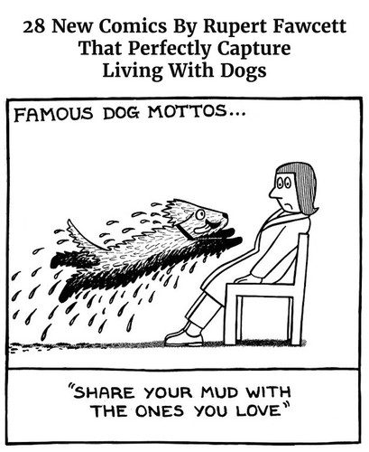 off the leash dog cartoons rupert fawcett part 10.jpg