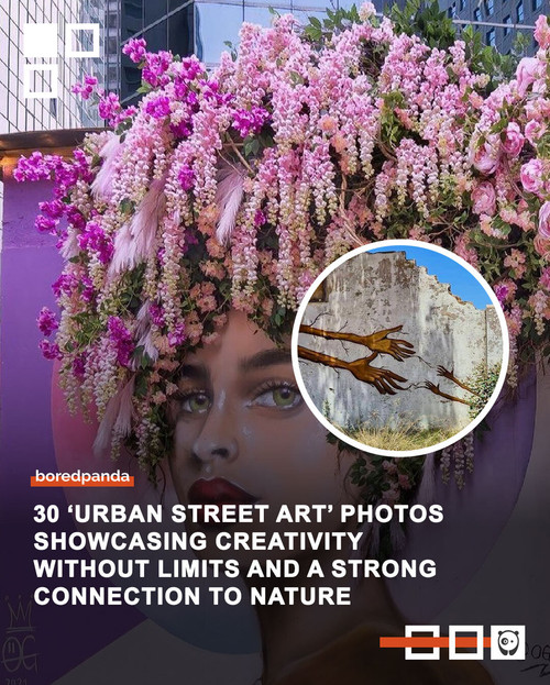 creative design photos urban streetart.jpg