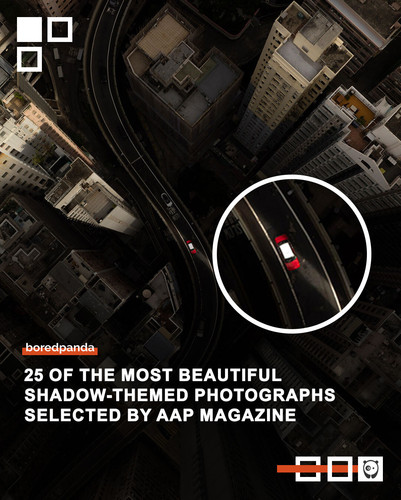 winning photos shadows contest aap magazines.jpg