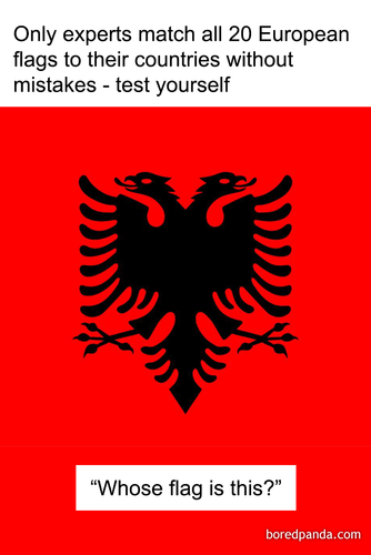 image (123).png
