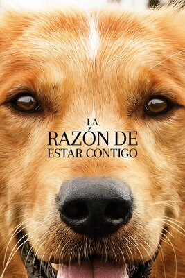 A Dogs Purpose [2017] [DVD5-R1] [Latino]