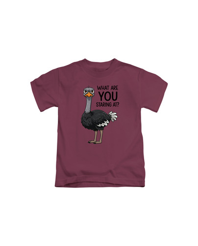c770 what are you staring at+Burgundy.jpg