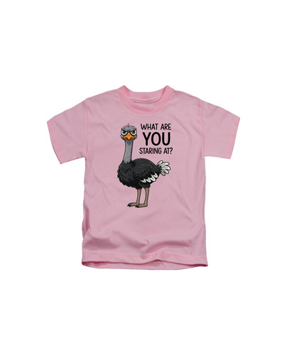 c770 what are you staring at+Baby Pink.jpg