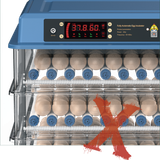 chocadeira nova hotsite choca egg