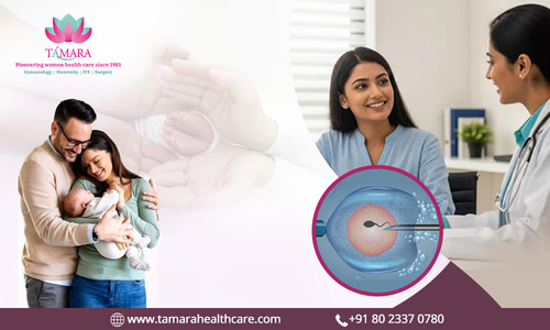 Experienced IVF Specialist Doctor in Bangalore Tamara Hospital & IVF Center.jpg