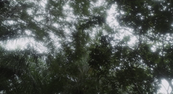 Posto.Avancado.do.Progresso.2016.APH.DVDRip.x264 MaZ.1:45:50.optimized=high.width=350.png