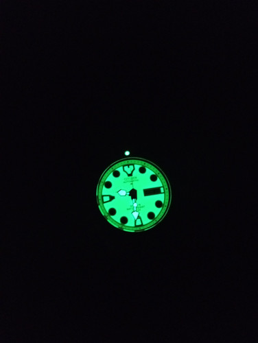 1000025310.jpg