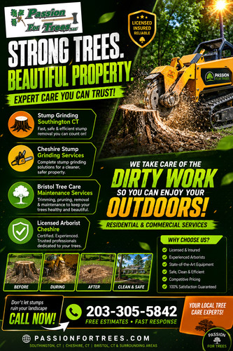 Stump Grinding Southington CT.jpg