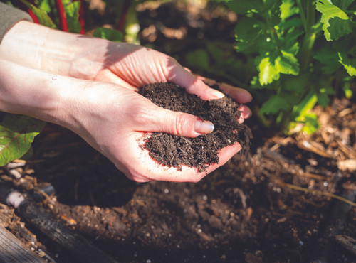 First Organic Garden Guide 3.jpg