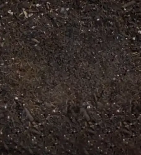 soil w1000@2x e1490216705246 600x351.webp