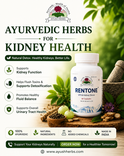 Ayurvedic Herbs for Kidney Health Natural Support for Better Wellness.png