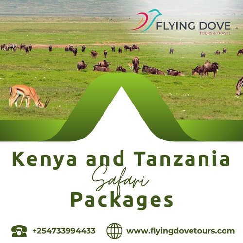 Kenya and Tanzania safari packages.jpg