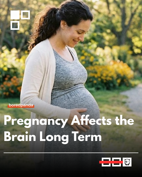 Pregnancy.png