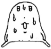 1000047487.jpg
