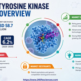 httpswww.24lifesciences.com 2026 05 14T131018.957