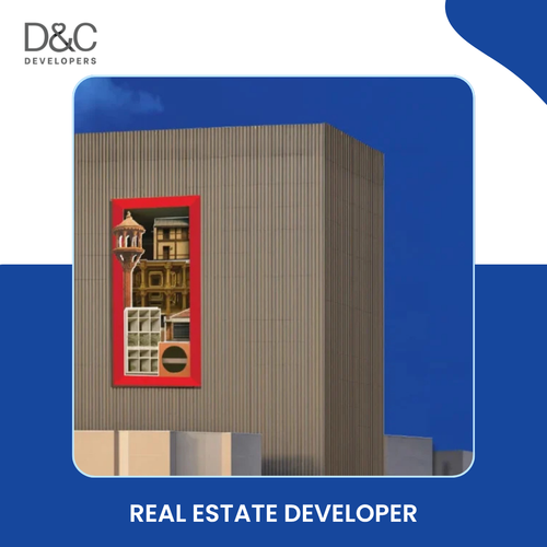 Real Estate Developer.png