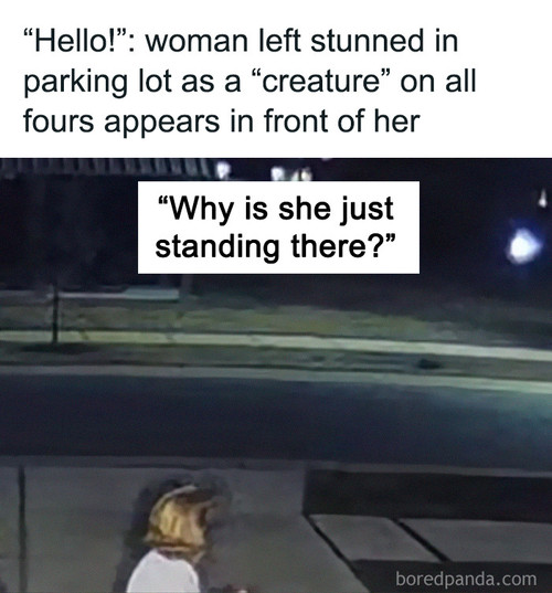 mystery creature.jpg