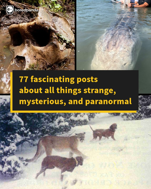 mystery pics.jpg