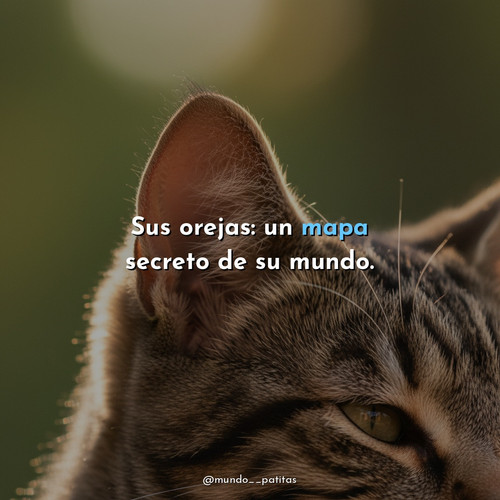 eae2151d8b15.jpg