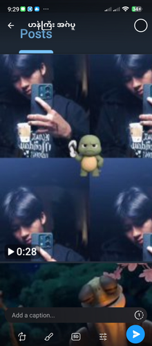 80777a15ab78.png