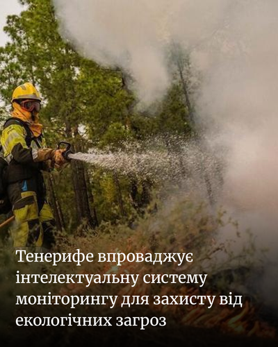 60141512381c.png