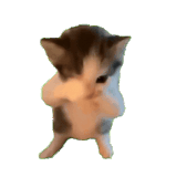 oie 13193152ICH6dtLc.gif
