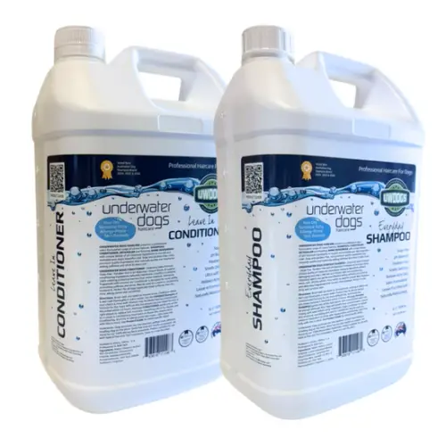 Best smelling dog shampoo and conditioner.webp