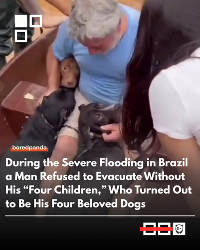 Dogies.png