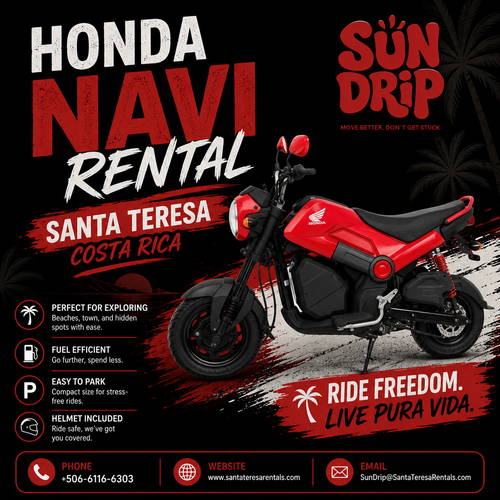 Honda Navi Rental Santa Teresa.png