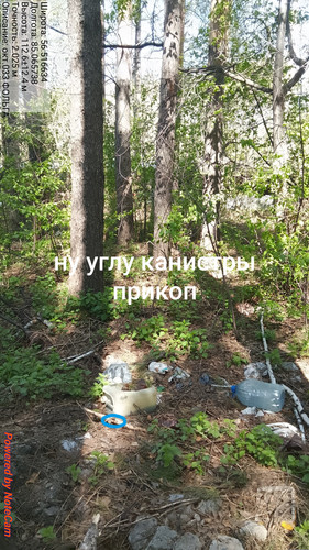 630.jpg