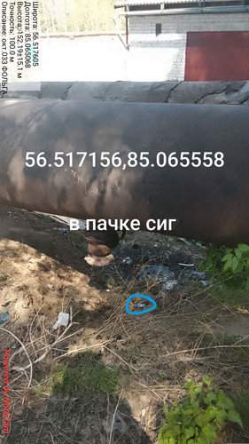 645.jpg